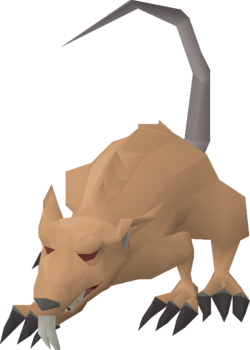 Angry giant rat (level 45, 1).png